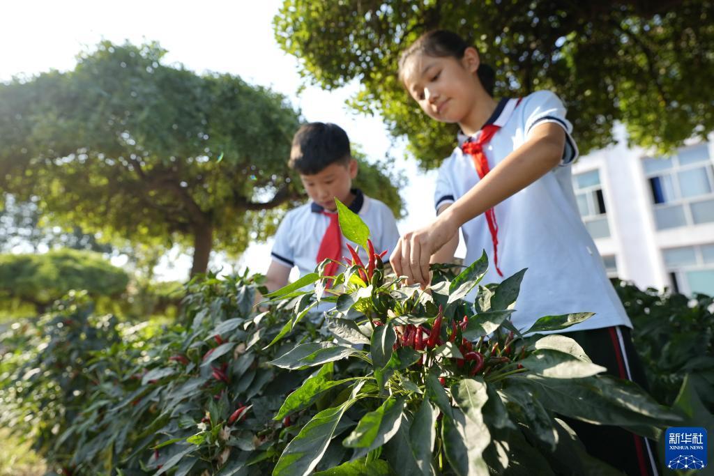 钻石赌城官网唯一